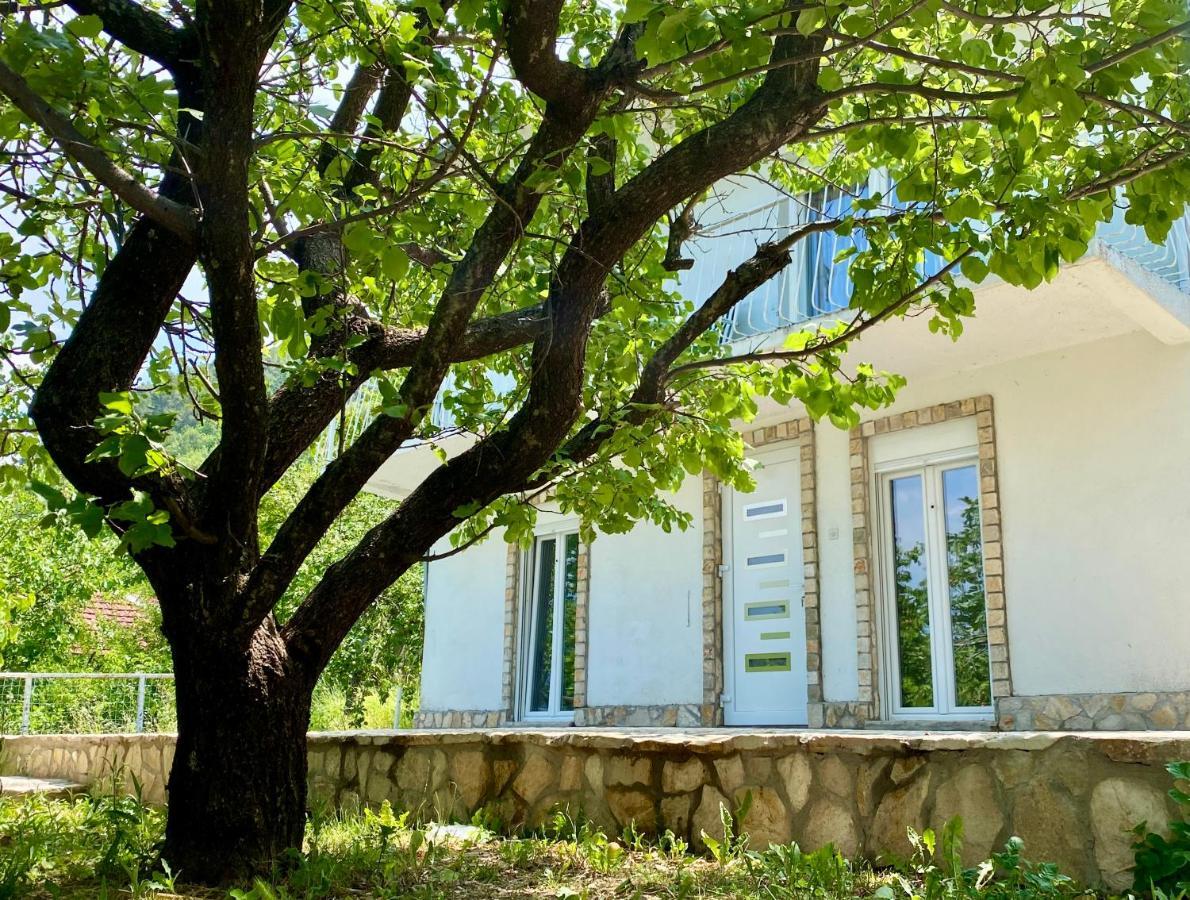מוסטר Guest House Ivano מראה חיצוני תמונה
